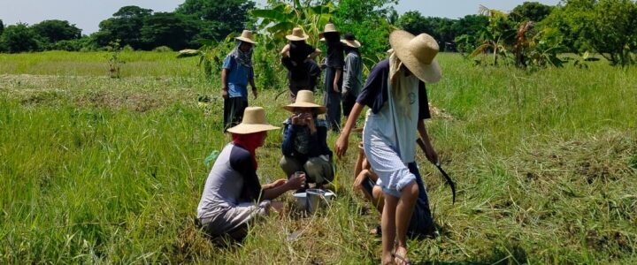 PH political dynasties strip peasant women of their right to land and life